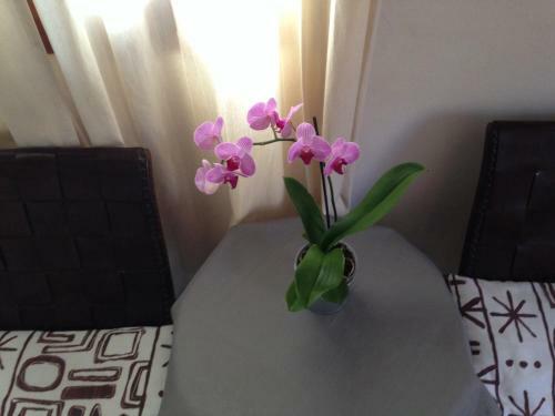 Bed & Breakfast Allotjaments Serra De Tramuntana
