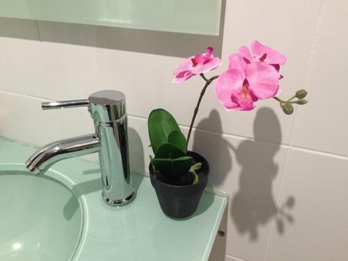 Bed & Breakfast Allotjaments Serra De Tramuntana