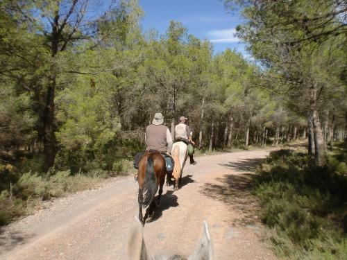 Apartamento La Massana