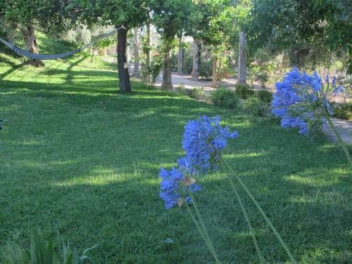 Agroturismo Casa Rural Fa�n Viejo
