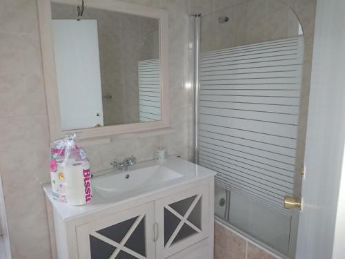 Apartamentos El Puente