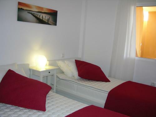 Apartamento Albatros Playa 3 - 2108