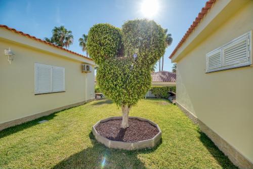 Apartamento Ona Sue�o Azul