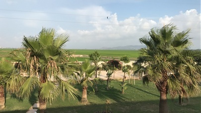 Hotel Masia El Teular