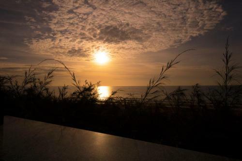 Hotel Seahorse Resort & Spa