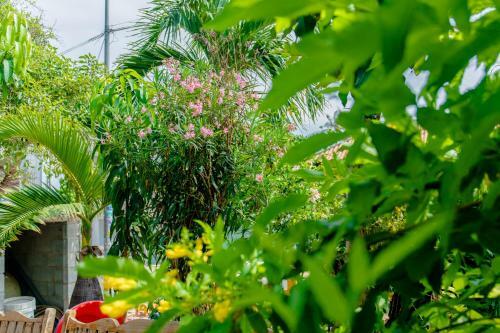 Song Huong Hotel