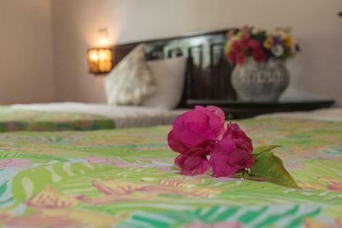Hotel Grace Boutique Resort