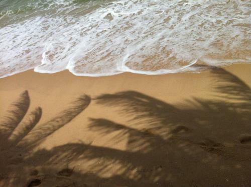 Hotel Mui Ne Paradise Beach Resort