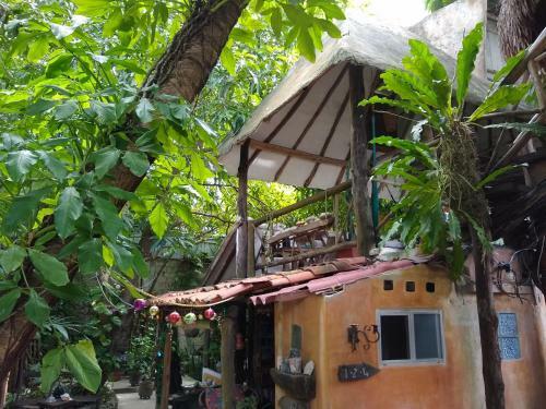 Residencia Casitas Kinsol