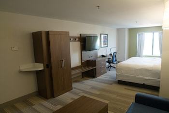 Holiday Inn Express Hotel & Suites Douglas