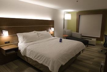Holiday Inn Express Hotel & Suites Douglas