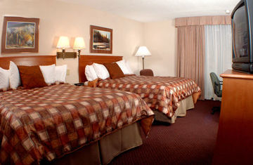 Holiday Inn Hotel & Suites Des