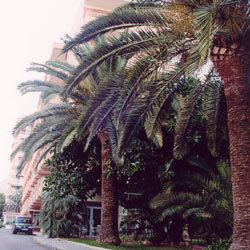 Hotel Tramontana