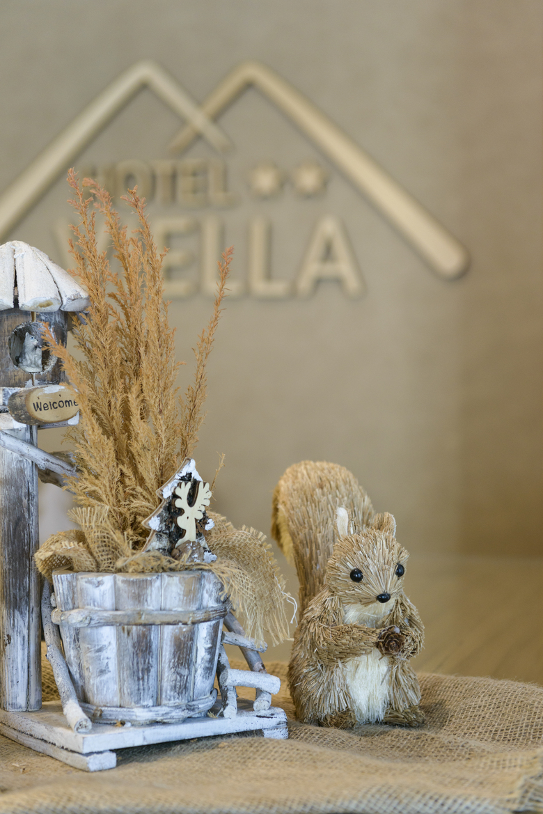 Hotel Viella