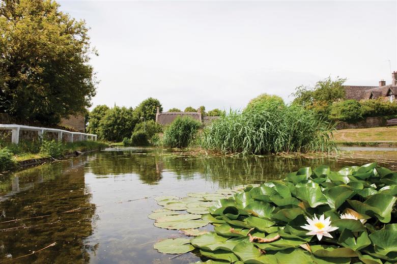 Best Western Normanton Park Hotel