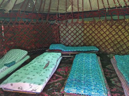 Turkestan Yurt Camp