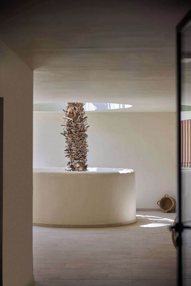 The Club Cala San Miguel Hotel Ibiza, Curio Collection By Hilton, Adults Only