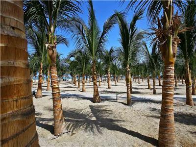 Hotel Casa Andina Select Zorritos Tumbes