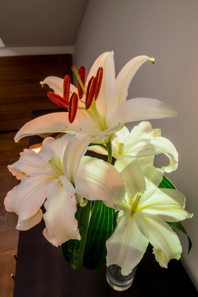 Loriente Hotel Boutique