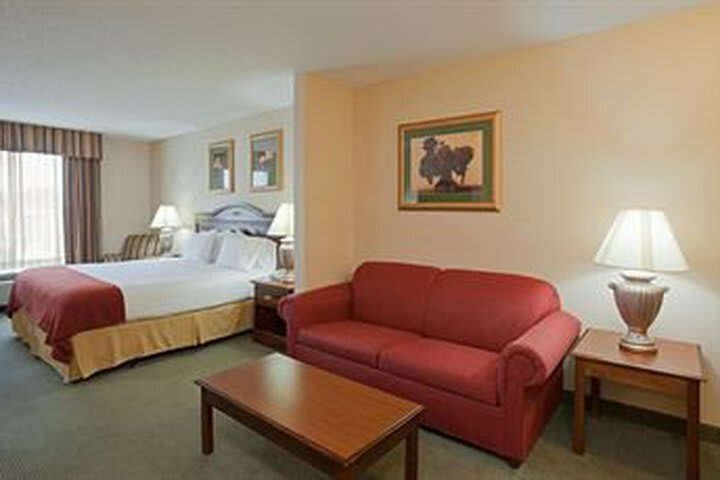 Holiday Inn Express Hotel & Suites Auburn