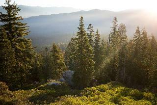 Hotel John Muir Lodge - Kings Canyon