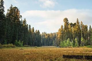 Hotel John Muir Lodge - Kings Canyon