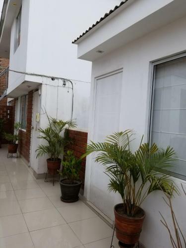 Hostal Malu House For Travelers And Backpackers