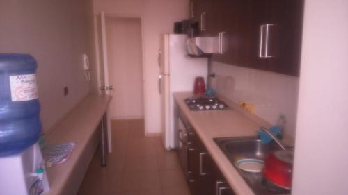 Apartamento Departamento Do�a Victoria