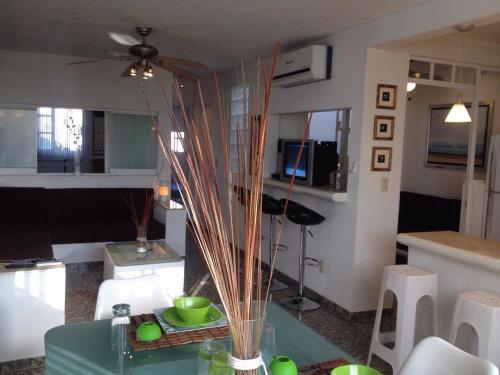 Apartamento Acapulco Punta Diamante