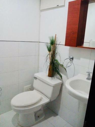 Apartamento Frente A La Playa Morros 922