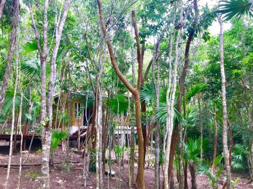 Lodge Private Cabin In Bacalar With Your Own Deck!