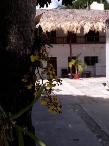 Hotel Szapot