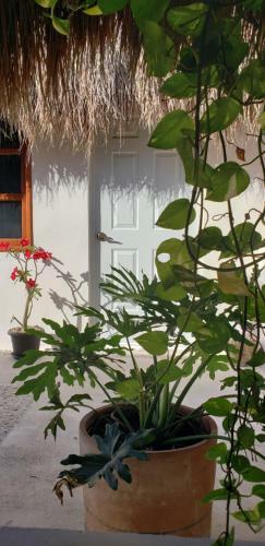 Hotel Poza Clara Sanctuary