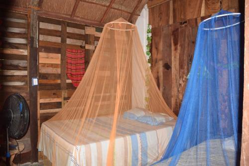 Bacalar Camping "el Arbol de La Vida"