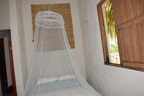 Bacalar Camping "el Arbol de La Vida"