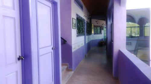 Hotel Vida En Rosas