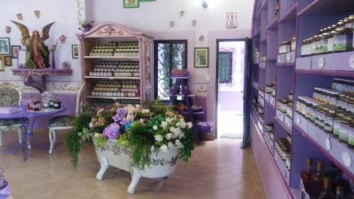 Hotel Vida En Rosas