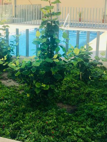 Apartamento Business Line