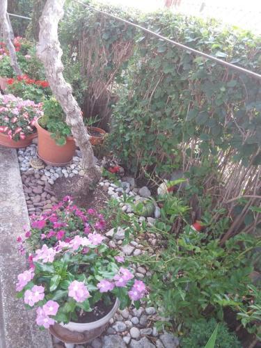 Apartamentos Studio Biograd Na Moru 15651a