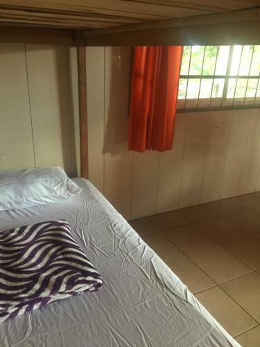 Hostel & Campamento Cafeaventura