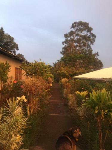 Hostel & Campamento Cafeaventura