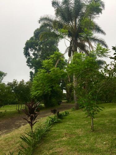 Hostel & Campamento Cafeaventura