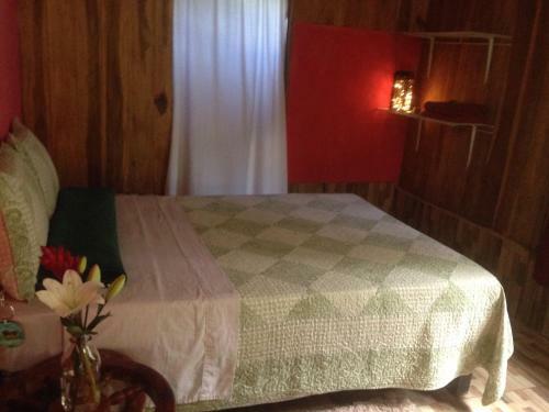 Bed & Breakfast Paz Entre Volcanes