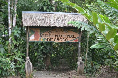 Pura Vida In Costa Rica