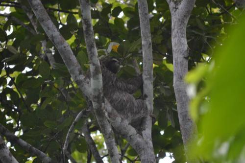 Pura Vida In Costa Rica