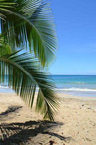 Pura Vida In Costa Rica
