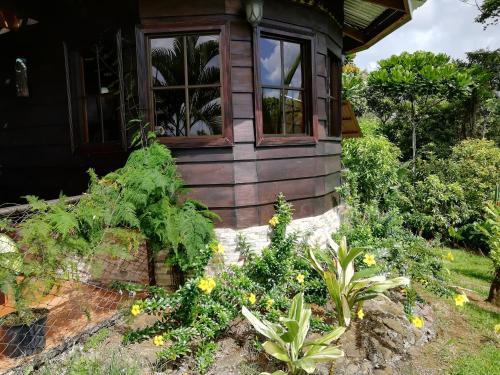 Amalfi Forest House
