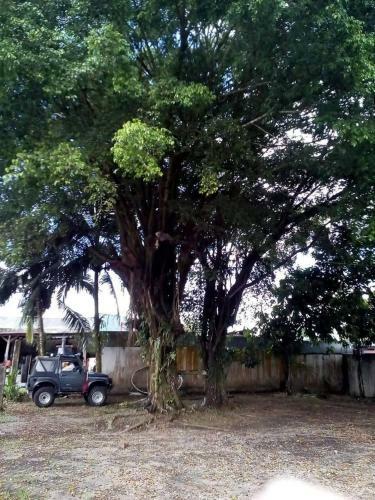 Hotel La Choza Del Arbol