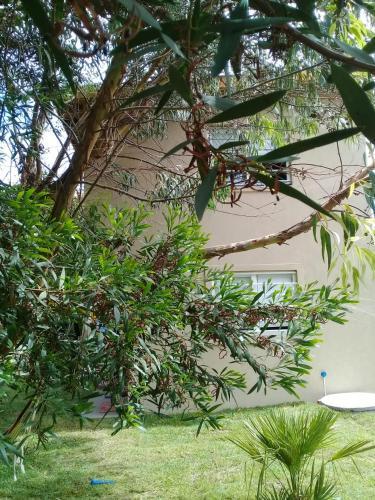 Apartamento Caba�a A Estrenar