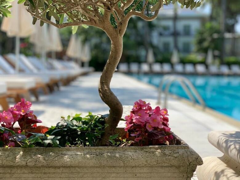 Hotel Greif